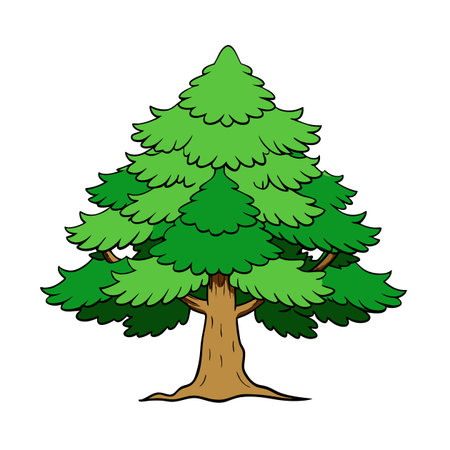 Cartoon style evergreen tree illustration on white backgroundのイラスト素材