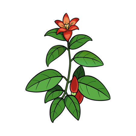 Cartoon botanical illustration of flower and leaves on whiteのイラスト素材