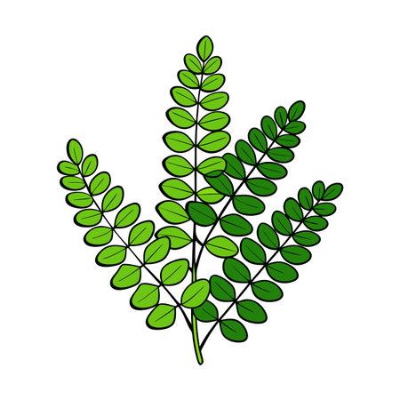 Lush green leafy branches on isolated white background illustrationのイラスト素材