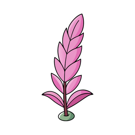 Stylized Pink Bromeliad Flower Vector Illustration on White Backgroundのイラスト素材