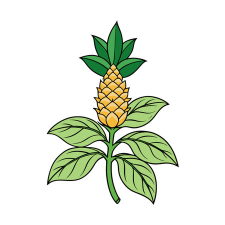 Stylized pineapple plant illustration with geometric shapes and bold linesのイラスト素材