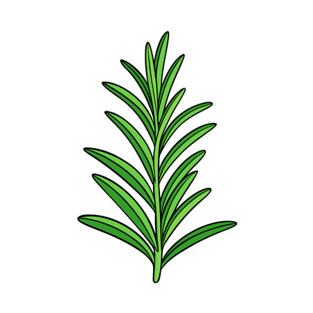 Illustration of a Fresh Rosemary Branch on White Backgroundのイラスト素材