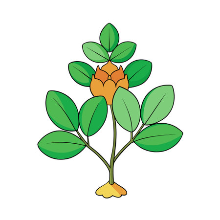 Graphic illustration of a botanical element with orange flowerのイラスト素材