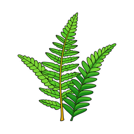 Green cartoon fern illustration on white background botanical detailのイラスト素材