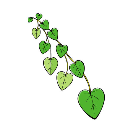 Heart shaped leaves on a vine illustration artwork designのイラスト素材