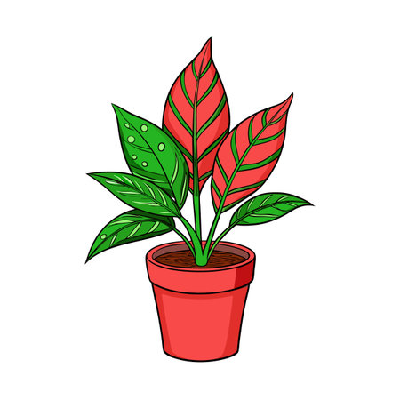 Red Aglaonema plant in a pot, on white backgroundのイラスト素材