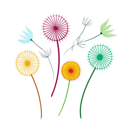 Vector dandelions in various colors and stages against a clean white background.のイラスト素材