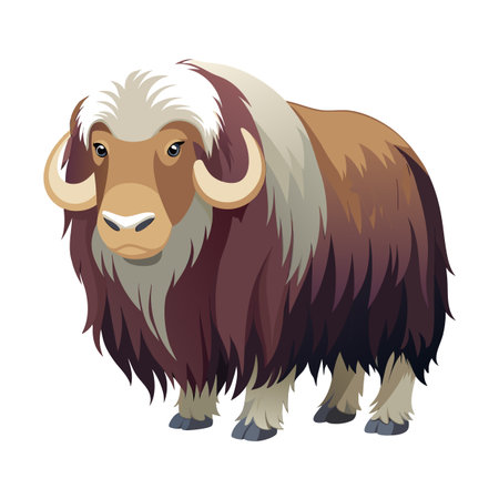 Cartoon-style muskox illustration with thick fur and curved horns on whiteのイラスト素材