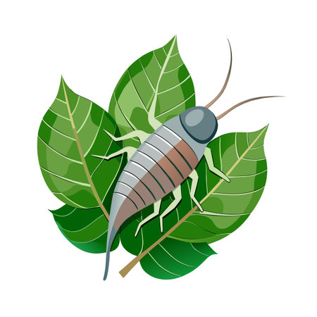 Silverfish Resting on Green Leaves Isolated on White Background Stock Illustrationのイラスト素材