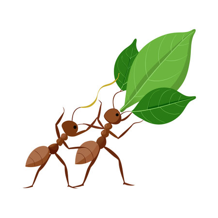 Two ants carrying large green leaves together in a collaborative effortのイラスト素材