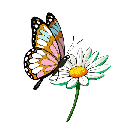 Vibrant butterfly illustration perched on a blooming daisy against a white backgroundのイラスト素材