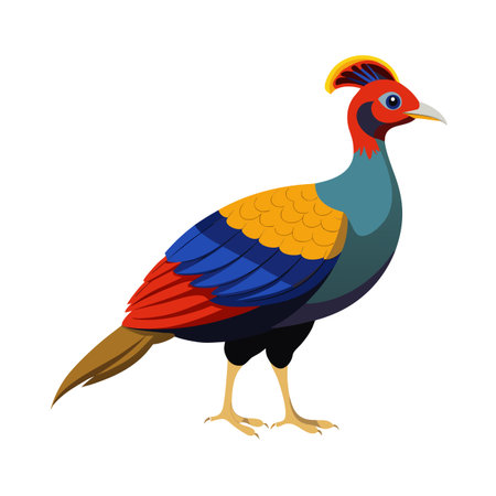 Colorful Himalayan Monal Bird Vector Illustration Isolated on White Backgroundのイラスト素材