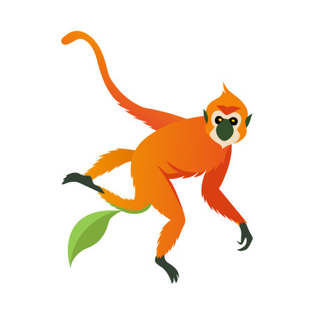 Cartoon orange monkey hanging on a green leaf vector illustration isolated on whiteのイラスト素材