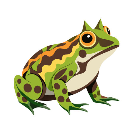 Stylized vector illustration of an alert and colorful cartoon frog on white backgroundのイラスト素材