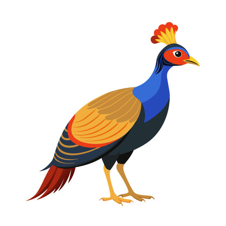 Colorful pheasant vector illustration isolated on white background, artistic design elementのイラスト素材