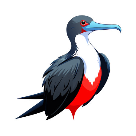 Cartoon frigatebird illustration with distinctive colors and elegant designのイラスト素材