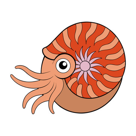 Cartoon nautilus illustration featuring segmented shell tentacles and circular eye on whiteのイラスト素材