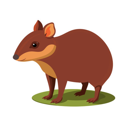 Stylized agouti illustration standing on a grassy patch in a cartoon styleのイラスト素材
