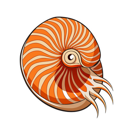 Stylized illustration of a chambered nautilus shell with tentacles isolated on whiteのイラスト素材