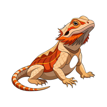 Cartoon Bearded Dragon Illustration with Upward Gaze and Striped Tail on White Backgroundのイラスト素材