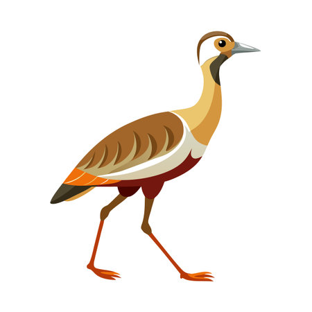 Elegant Bird Illustration: A Vector Image of a Kagu Bird Walkingのイラスト素材