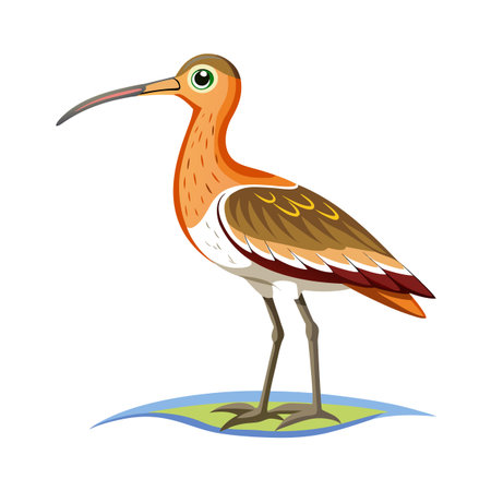 Illustration of a Long-Billed Curlew Bird Standing on a Small Patch of Grassのイラスト素材
