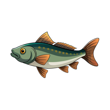 Illustration of a salmon swimming with olive green and orange coloration on whiteのイラスト素材
