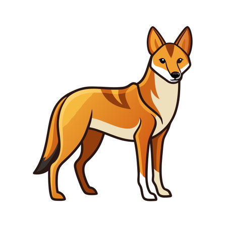 Cartoon dingo dog with orange fur and outlined in black standing isolated.のイラスト素材