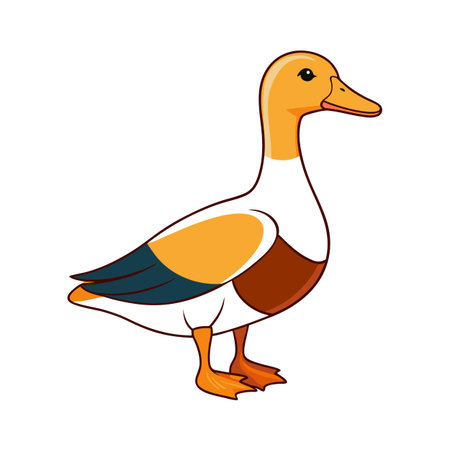 Standing cartoon duck with simple shapes and warm colors on white backgroundのイラスト素材