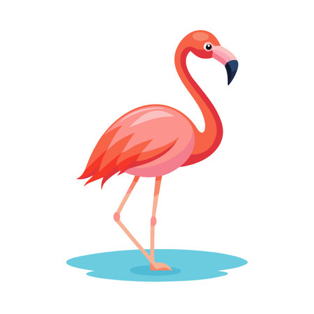 Elegant pink flamingo wading in blue water, isolated vector illustration on whiteのイラスト素材