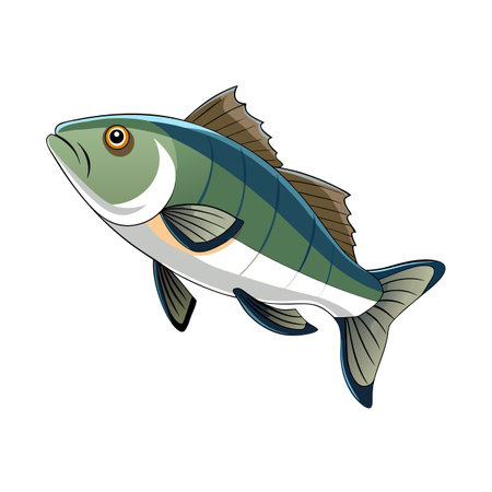 Cartoon fish illustration with fins and scales swimming upwards on white backgroundのイラスト素材
