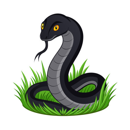 Cartoon Black Snake in Grass with Tongue Out on White Backgroundのイラスト素材