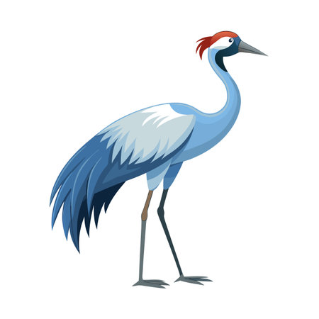 Elegant blue crane standing tall in vector illustration on a white backgroundのイラスト素材