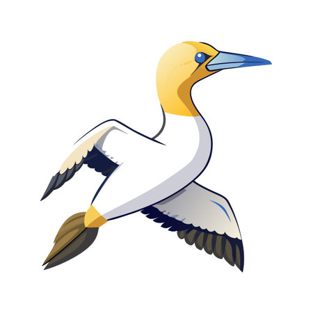 Stylized vector illustration of a Northern Gannet in flight, wings spread on whiteのイラスト素材