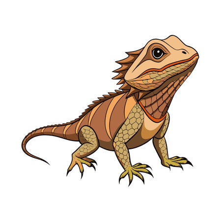 Stylized Cartoon Bearded Dragon Isolated on White Background Stock Illustrationのイラスト素材
