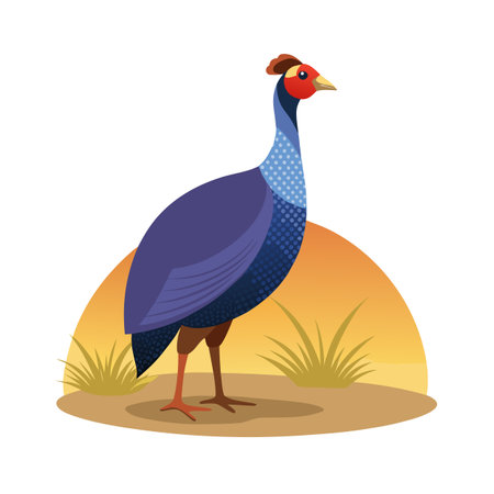 Guinea fowl illustration standing against a sunset colored flat landscape with grassのイラスト素材
