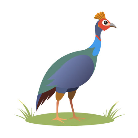 Stylized bird with colorful plumage standing on a grassy patch in digital illustrationのイラスト素材