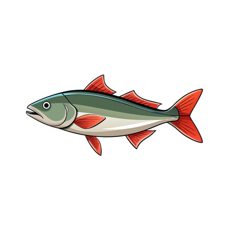 Illustration of a single fish with red fins on a plain backgroundのイラスト素材