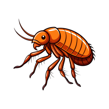 Cartoon illustration of a flea on a white background, pest control concept