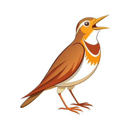 Illustrated song thrush singing with beak open on white background, stock imageのイラスト素材