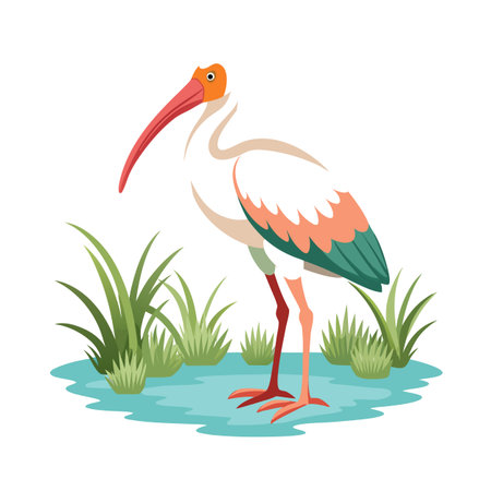 Stylized Ibis Illustration Standing in Shallow Water with Grass Detailのイラスト素材