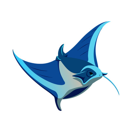 Stylized vector illustration of a manta ray on a white backgroundのイラスト素材