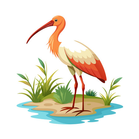 Illustration of a colorful ibis bird standing near water and green plantsのイラスト素材