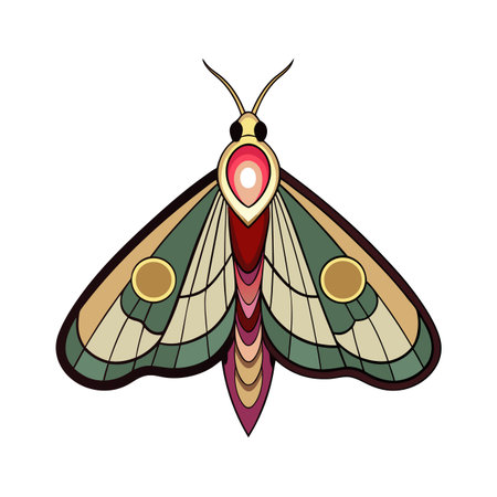 Stylized moth illustration with ornamental geometric designs on wings, flat designのイラスト素材