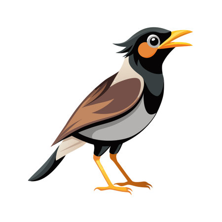 Cartoon illustration of a Myna bird standing against a clean white backgroundのイラスト素材