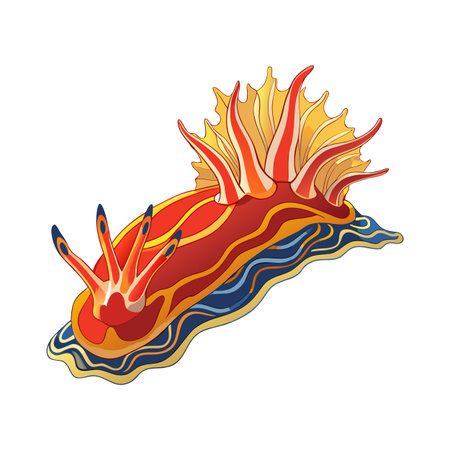 Vibrant Chromodoris Willani Nudibranch Illustration with Red, Orange, and Blue Color Paletteのイラスト素材