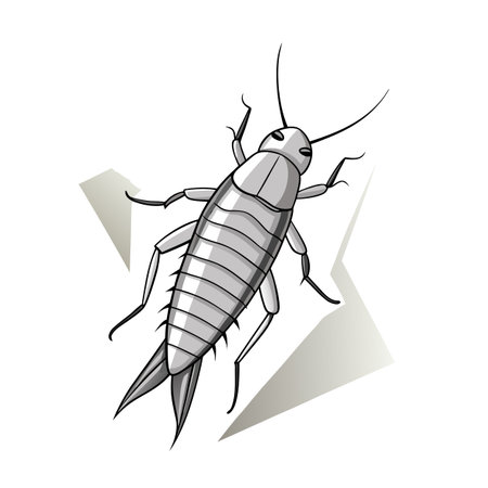 Cartoon silverfish insect with geometrical shapes and white background illustrationのイラスト素材