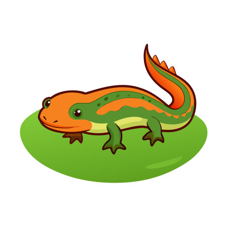 Cartoon newt on a green leaf, orange and green amphibian illustrationのイラスト素材