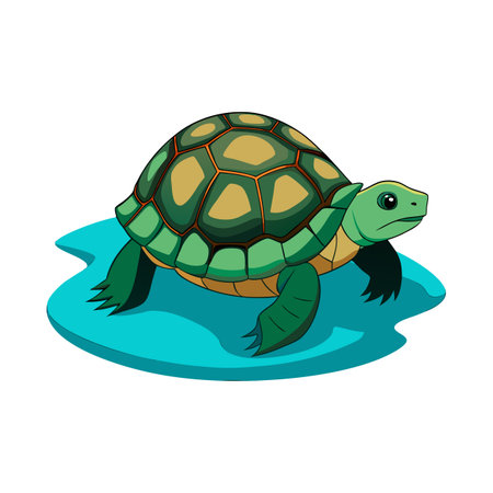 Cartoon illustration of a turtle on a blue surface against white backgroundのイラスト素材