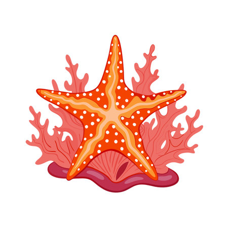 Stylized starfish with white dots on coral reef, vector illustrationのイラスト素材